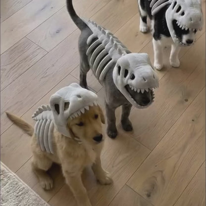 Dinosaur Skeleton Costume for Dogs